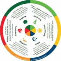 Draaikaart leefstijlroer binnenzijde