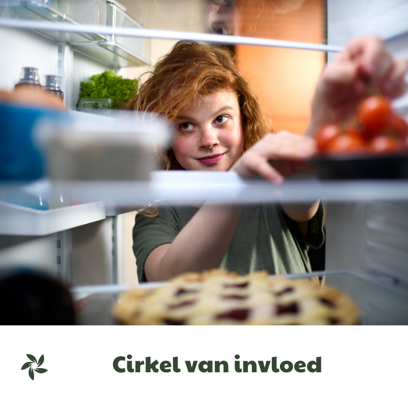 cirkel-van-invloed-v2 cirkel-van-invloed-v2