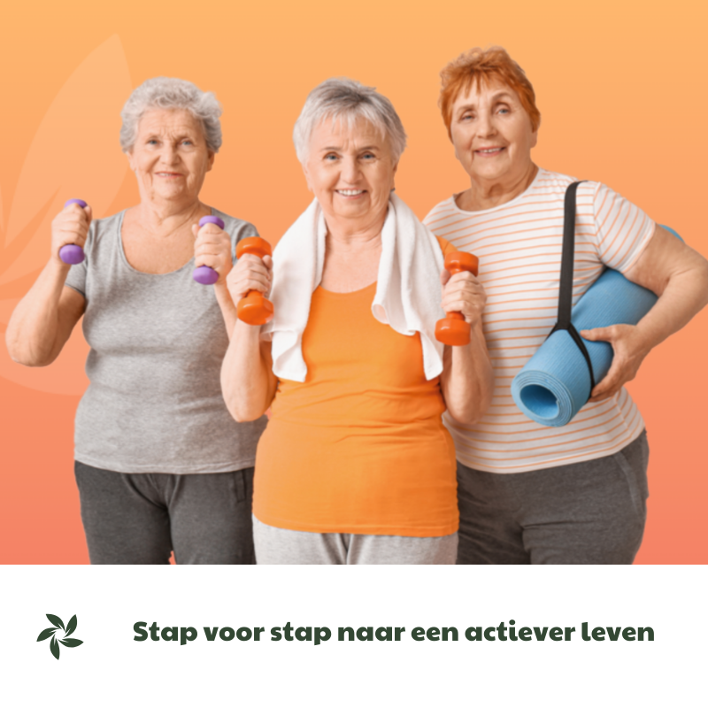 training-actiever-leven-v2 training-actiever-leven-v2